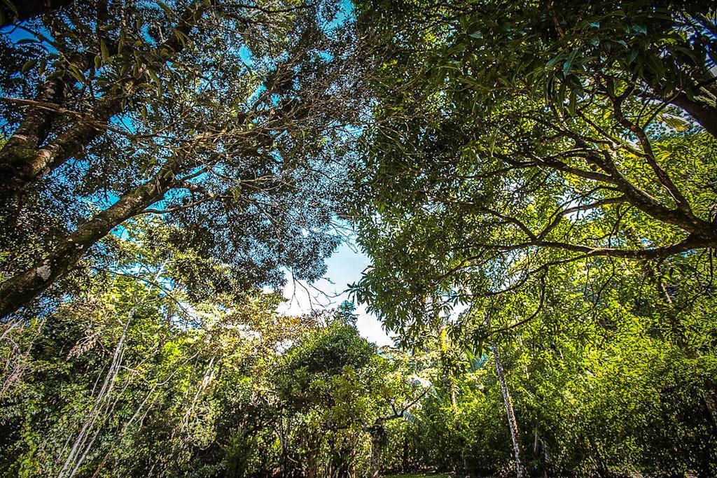 Cape Tribulation Holiday House Exterior photo